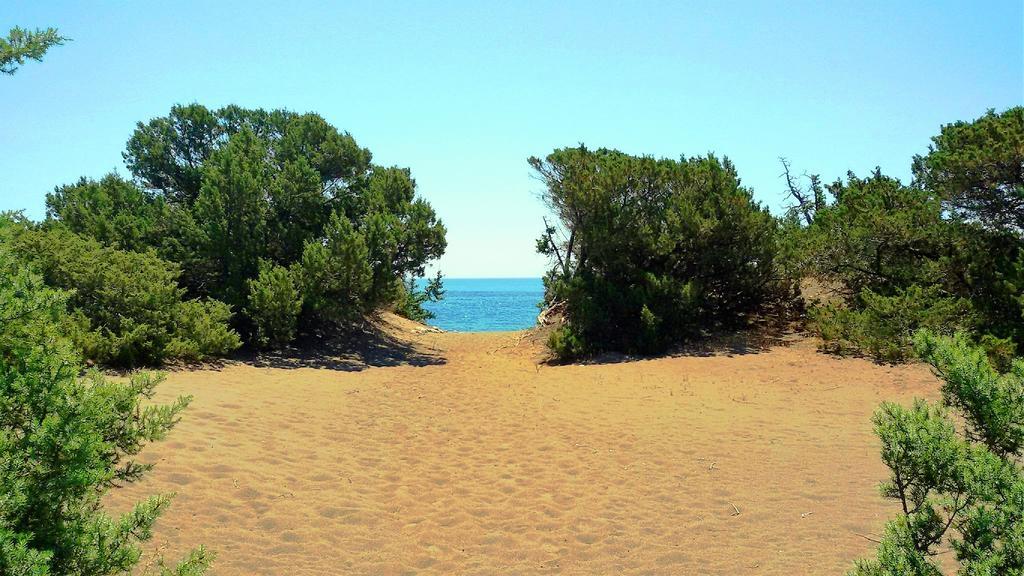 Beachfront Villa Rhodes Seashell 겐나디 외부 사진